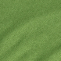 Men's Global Short Sleeve T Alpine Green