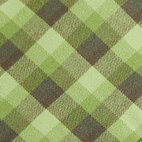 Men's Dover Long Sleeve Shirt Alpine Green/Conifer Check