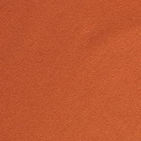 Men's Global Long Sleeve T Spiced Orange