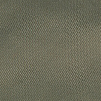 Men's Lakeside Shorts Olive Green