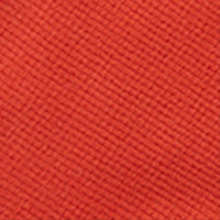 Men's Microgrid Fleece Jacket Coast Red