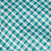 Men's Isle Short Sleeve Shirt Bay Teal Gingham